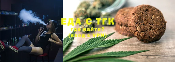 индика Алексин
