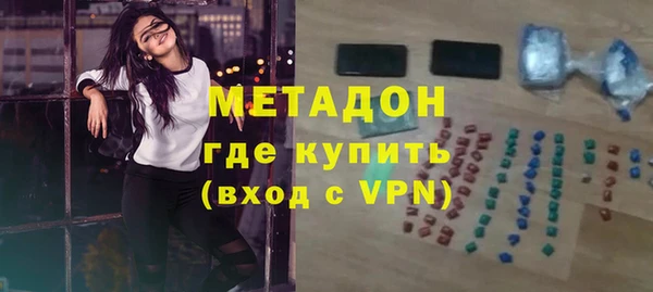 индика Алексин