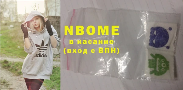 индика Алексин