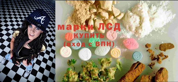 индика Алексин